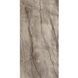 Керамограніт крупноформатний Marazzi Grande Stone Look Silver Root Grey Satin 3D Ink 120x278 Rett. 6mm MP45 фото 1